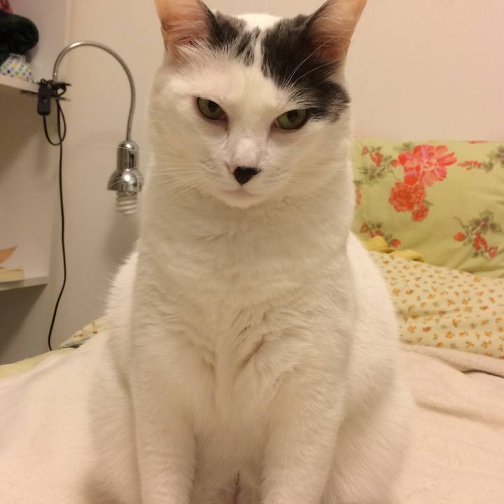 88b09139 f46c 458e 95b1 048ccec8bbd5