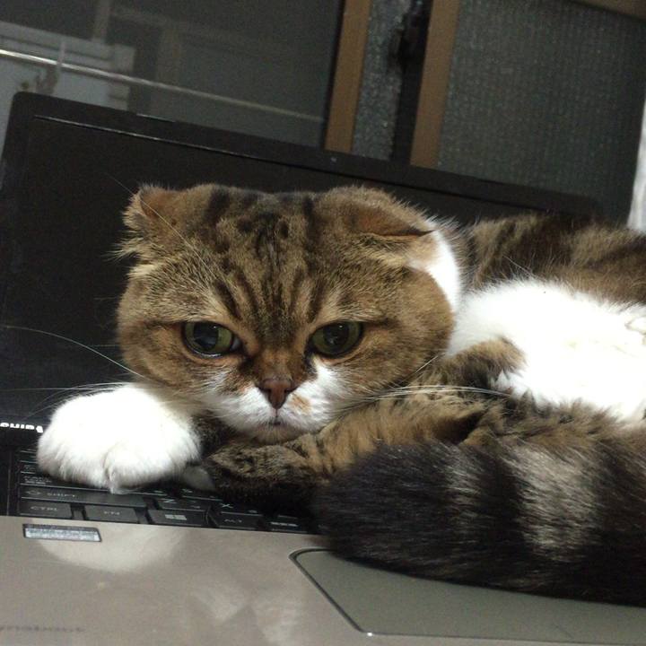 88b09b91 6eb6 4a5d b92d c8a33e5cb94d