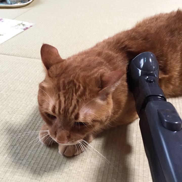 88b1fd15 14a1 4d69 9554 c8e45c53775c