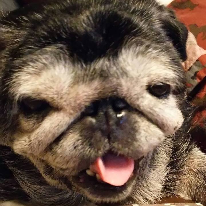 88b1ff02 0a08 47ee af01 8031b807ba8c