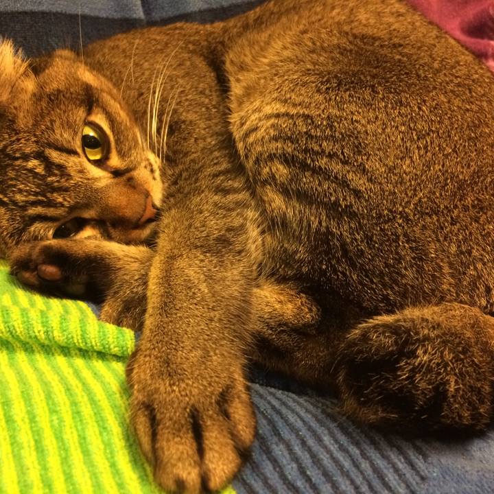 88b28e3d 5c57 4277 8608 7674dca90ae6