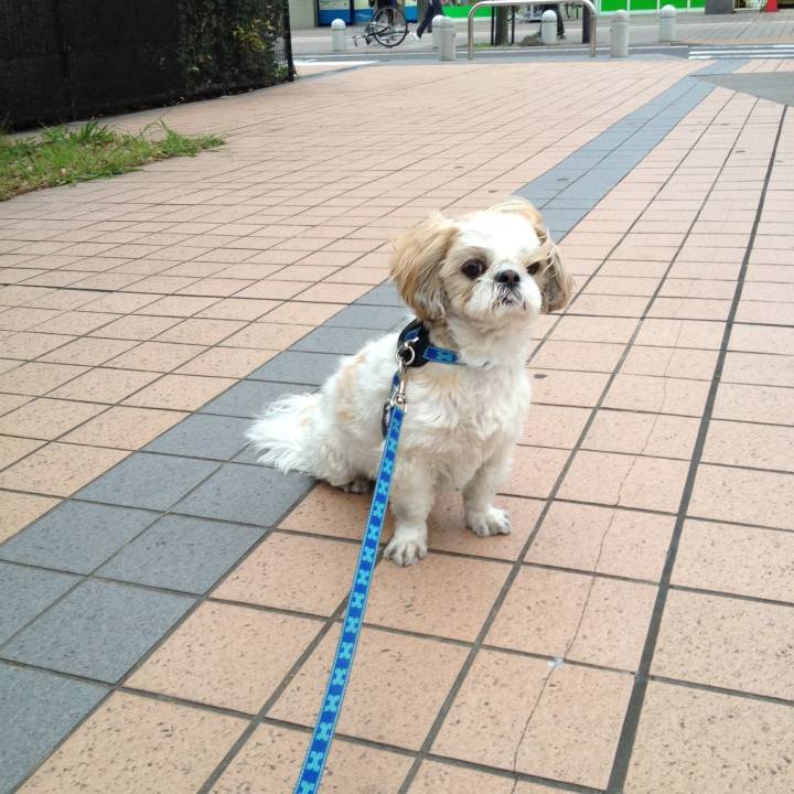 88b34400 60ea 49f2 a209 3f23326e35eb