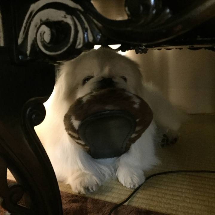 88b45405 0b76 48bc b559 dbec8a4690cc