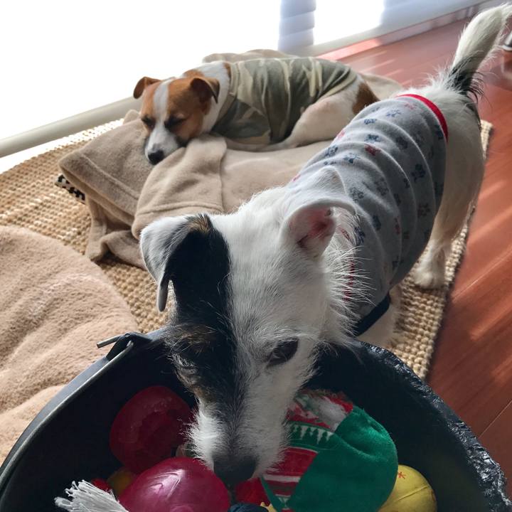 88b54754 1810 43db 8528 aae083e0215e