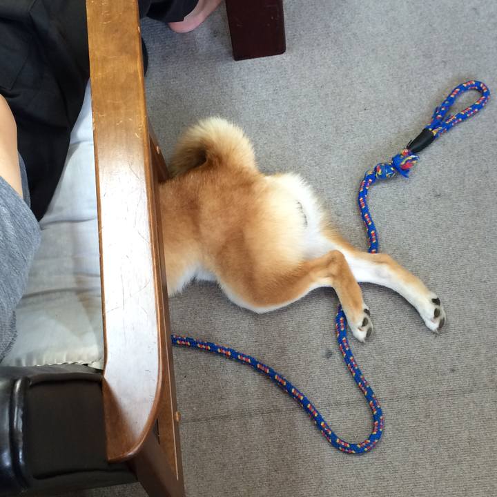 88b57cac bead 4767 b9e1 fcab7754f154