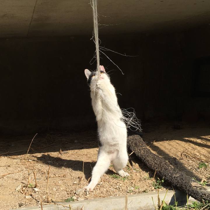 88b59d30 4df5 4dc6 8dfc 8151587916bb