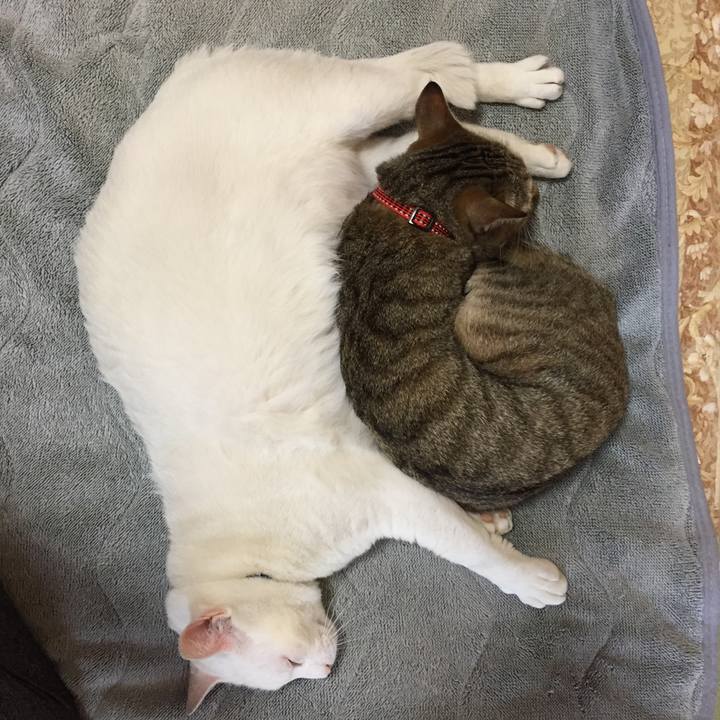 88b5c6f4 0f53 4472 ae7e ce9230b421c2