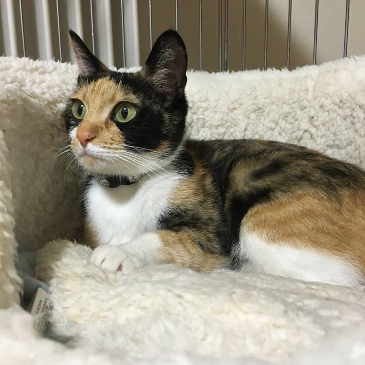 88b698f2 23fc 468a ac37 9fd31e8ddd64