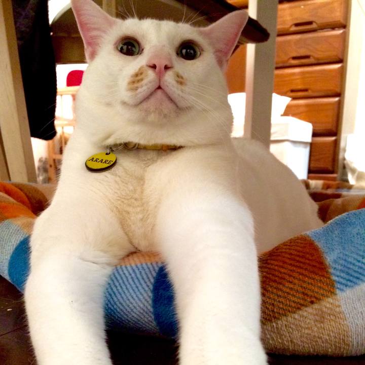 88b6d8a2 3d59 49cb bbc2 c7bb8c29ce2c