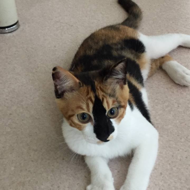 88b7135f fbbb 43bb 8db5 4d84d9a3f1f2