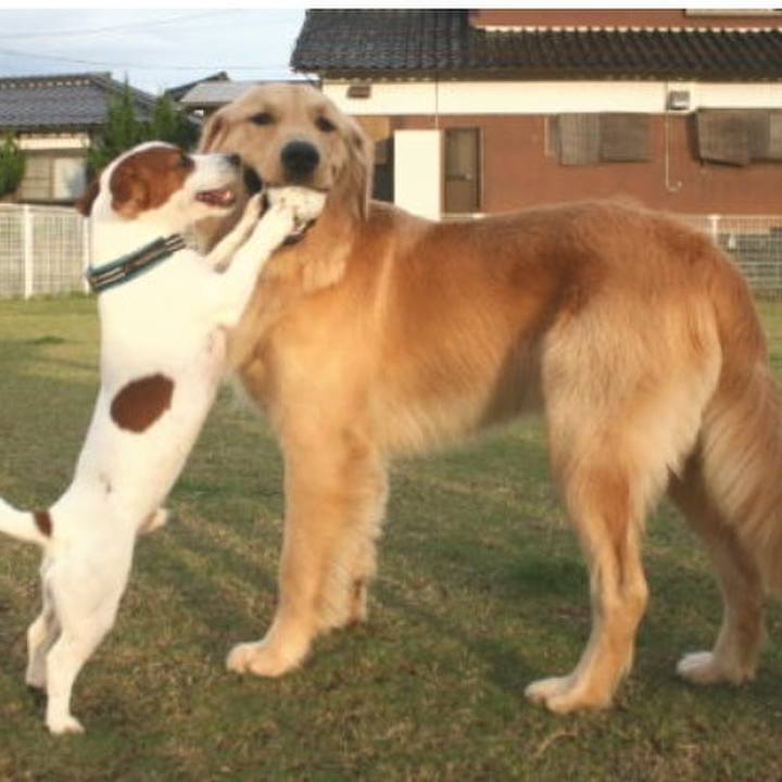 88b7d12d 6e91 4312 91aa 34b5ca3f8c27