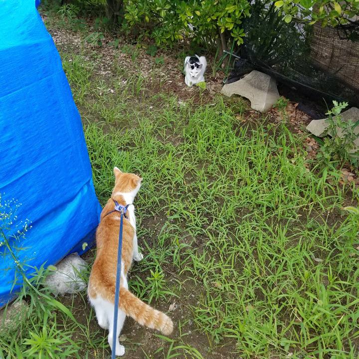 88b92d35 e091 48bd a529 774eadd68f66