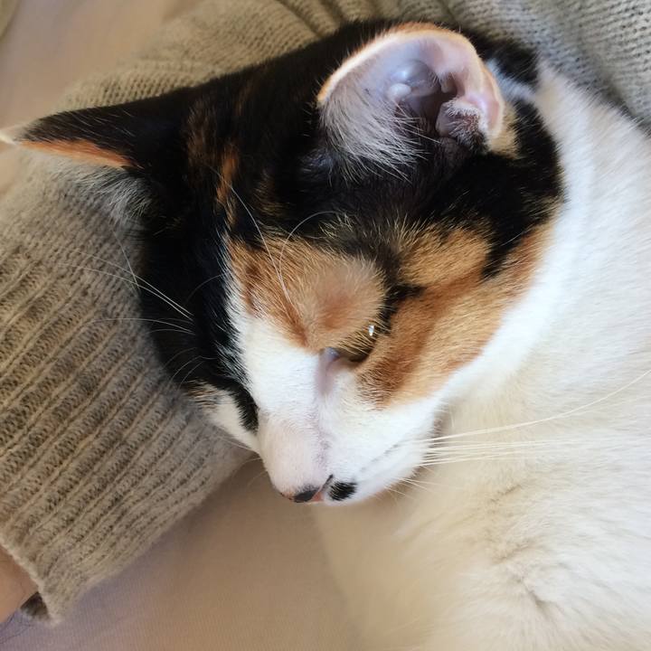 88b980cb 103a 4e68 9815 bcd61dbe92ba