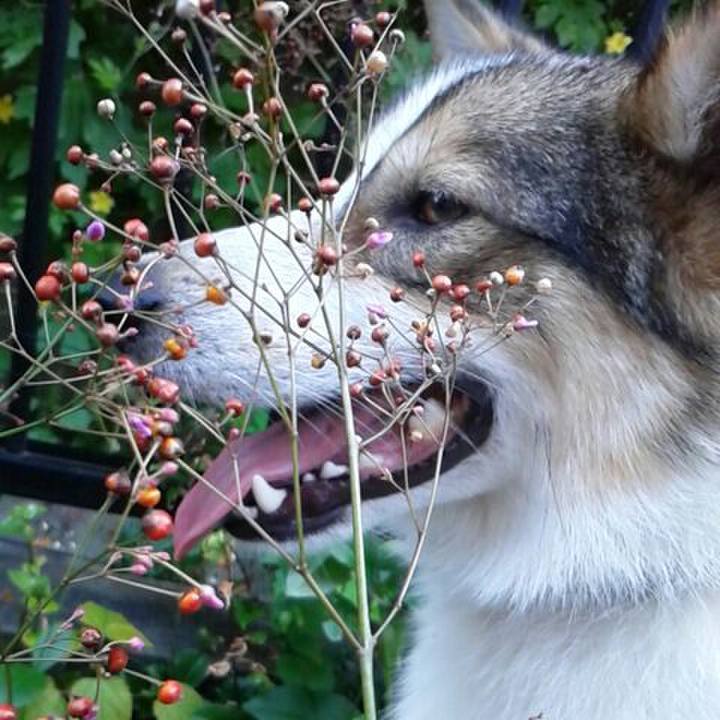 88b99140 a277 49ff 9b78 68c675b28ec9