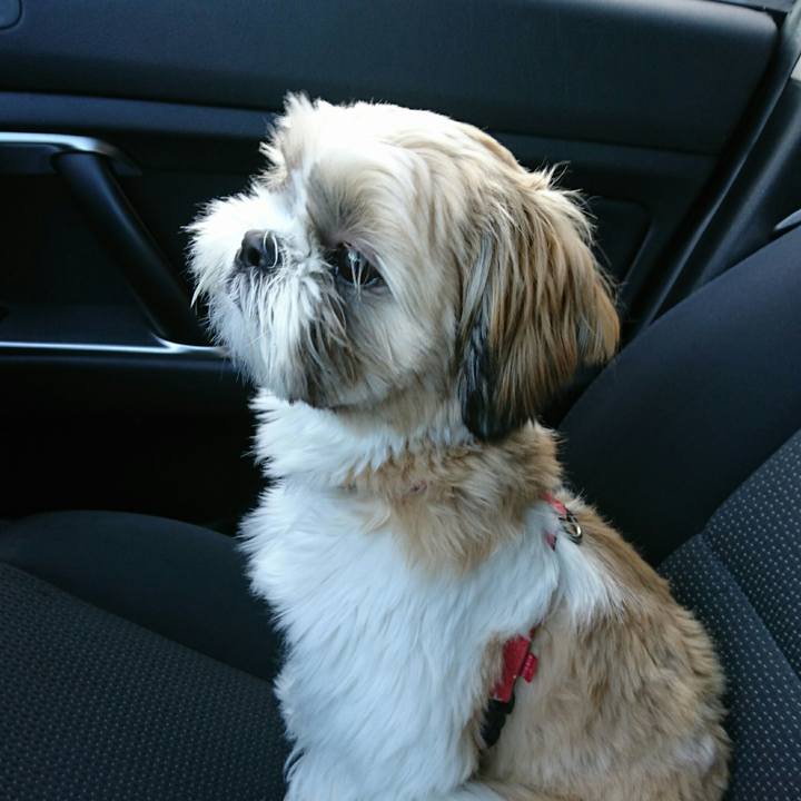 88ba736d 9a63 47a0 b0f2 7fb98f5e8cba