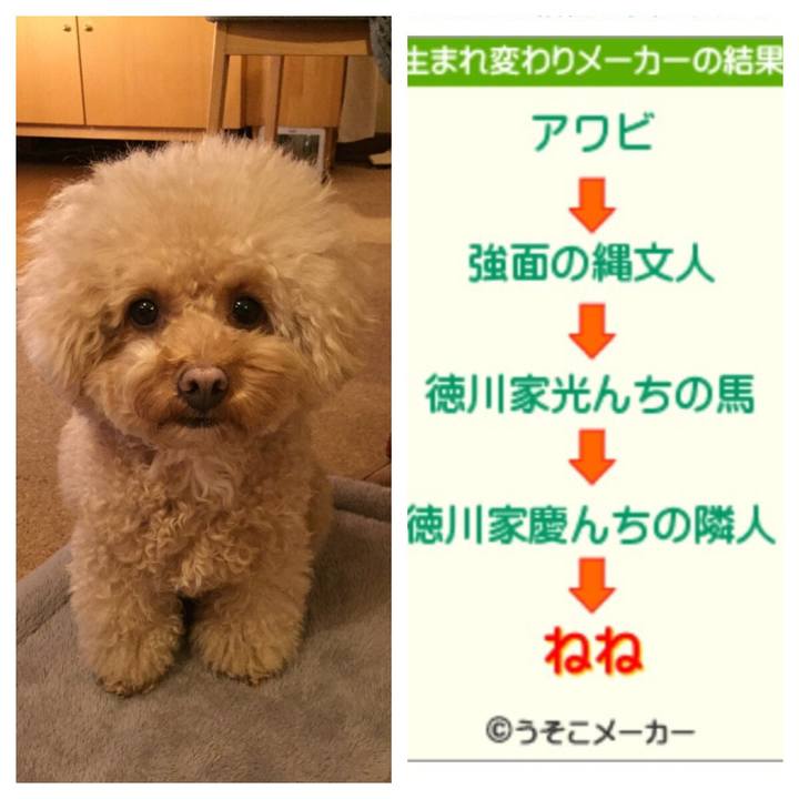 88bae2a5 457b 42f2 8bef cd4a02fa2822