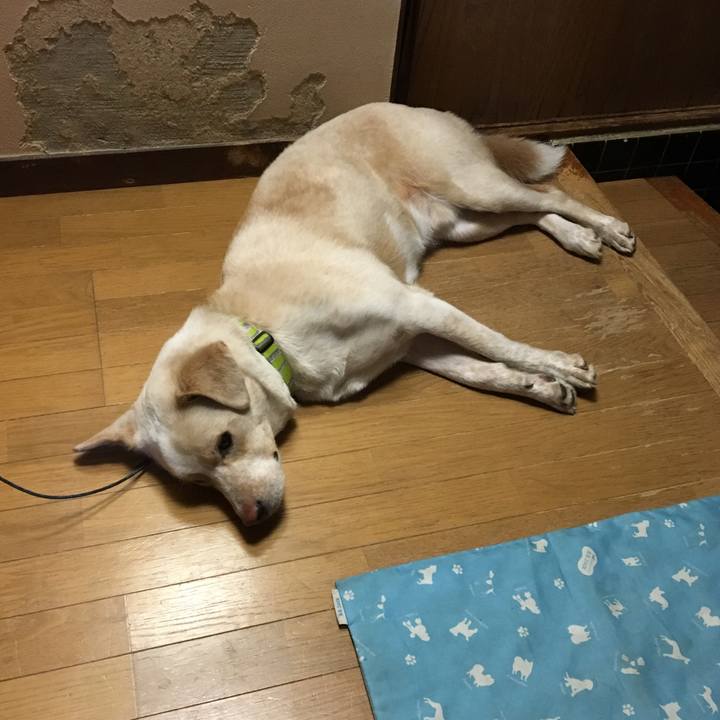 88bae67b 75ab 40ca 8d5e 837a7d1c1cab