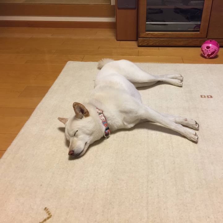 88bb44ad bd39 436d bff2 0870013b7ece