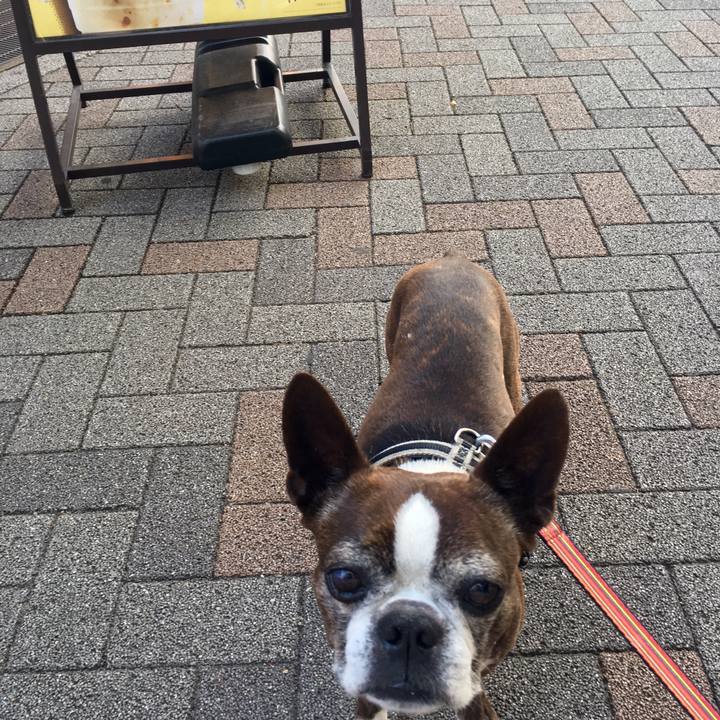 88bc8688 50f2 49ee bfe1 3f601637ff15