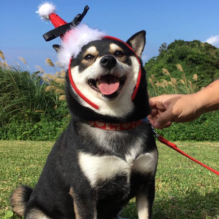 88bcdb42 c923 4464 b49b a82792d3bed1