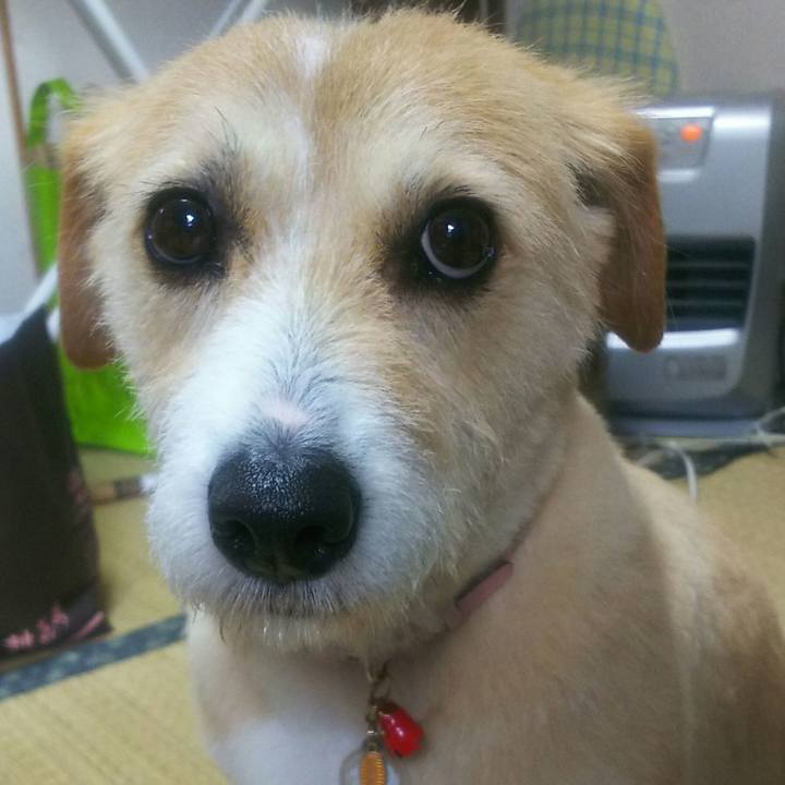 88bd33a7 6d64 4f00 8420 f67368e2808f