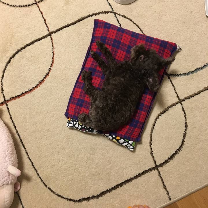 88bd636f c6aa 49ee 917f 0d2ccf1c2cac