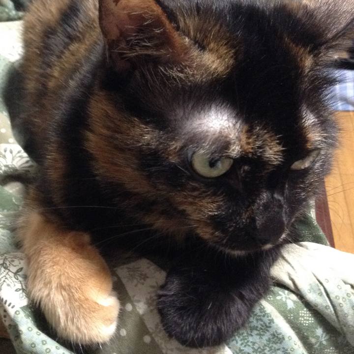 88bd7ea3 1c12 48fe 956e 16bf1fc8d82f