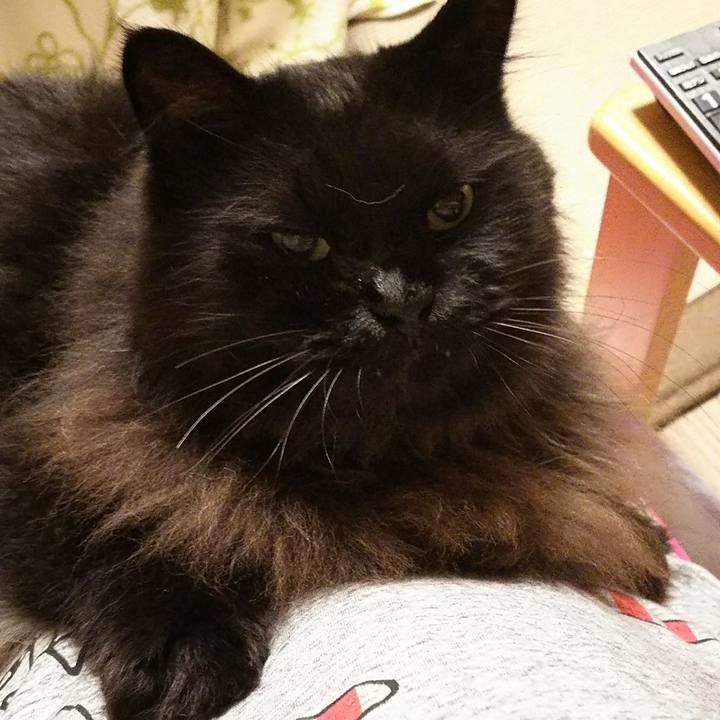 88be0788 3c92 412b 82fd 7521c7d9f2ef