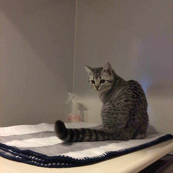 88be8079 97d7 418a 9c53 2b73514f8bc9