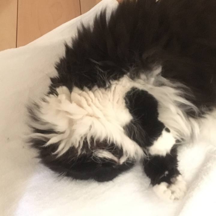 88be9789 c6da 4618 b458 53b43d471488