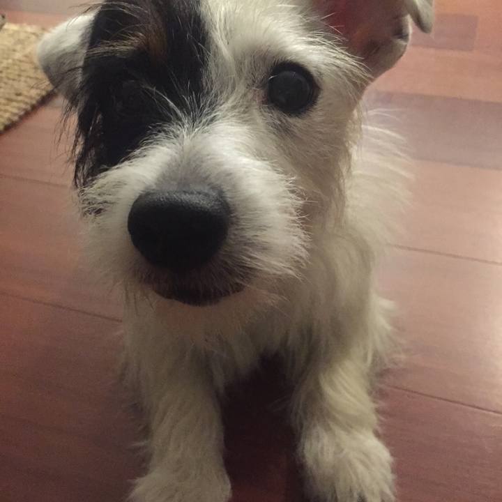 88bec95c a213 473d 8389 012ded91919d