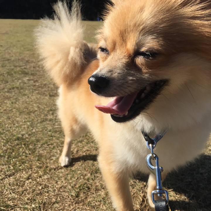 88bede0f 0c01 438f 89a8 2642a39f619a