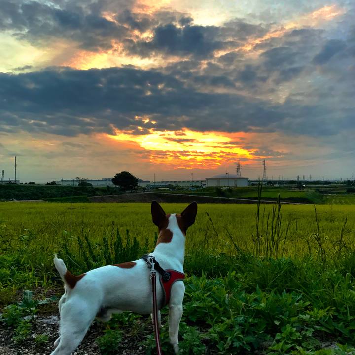 88bf03c2 e89c 4634 a4a4 7d80d76a5ccd