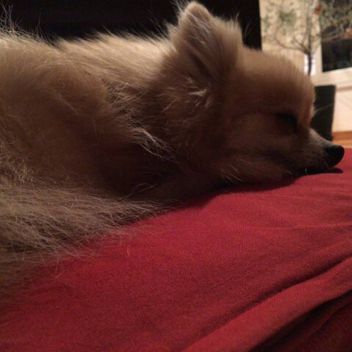 88bf32da 7dc9 4092 b9ca 3e94ba39869a