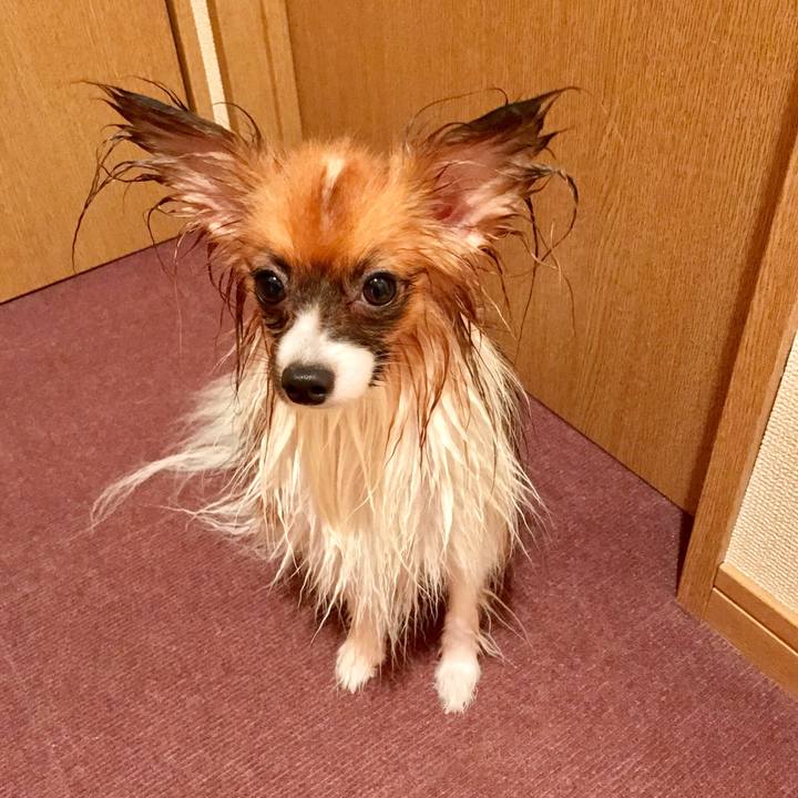 88c01a06 fd74 41f0 bbe3 485688df4428