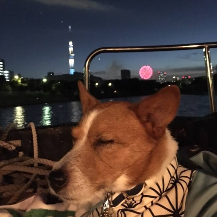 88c038a2 5c92 4516 a94d 61960bf671b2