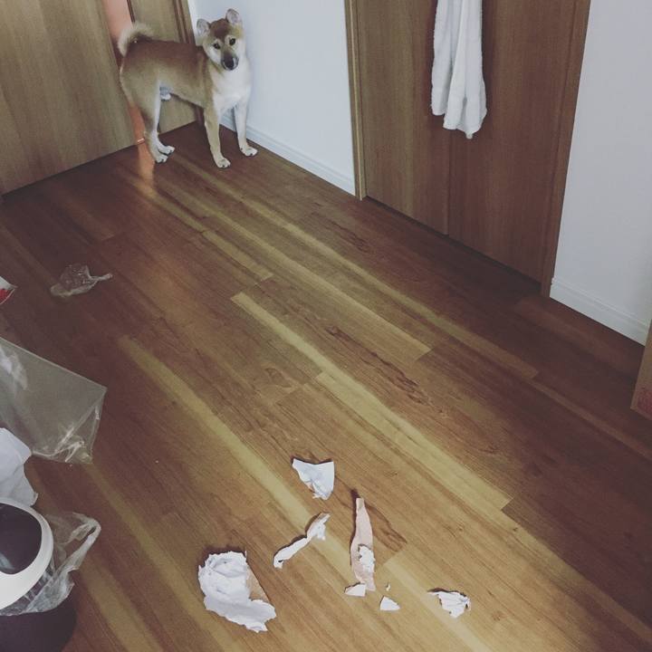 88c09192 aa93 4678 9361 ff64faec1e6b