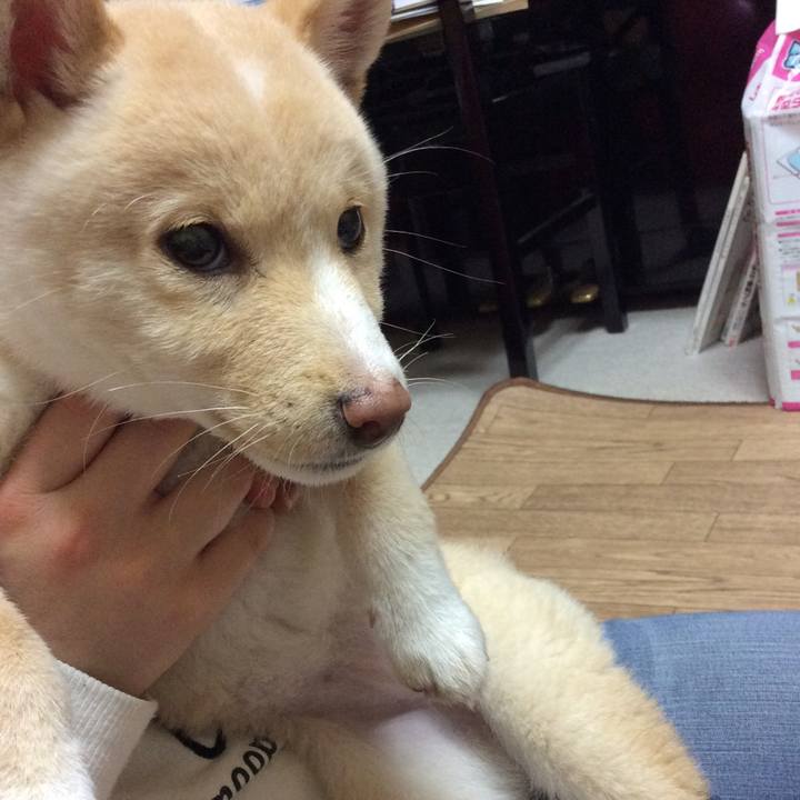 88c0e3e5 d5cf 4fb0 aafb 42864477163a