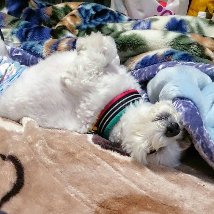 88c13a38 9928 45b3 bf8a e0b3f33ad109