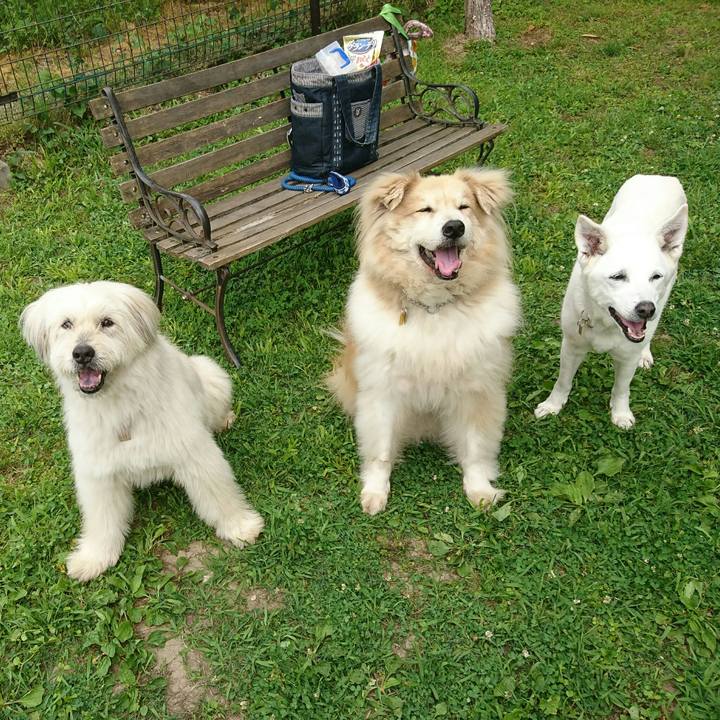 88c188e9 98a0 4575 a9c5 8ec55a52ef6a