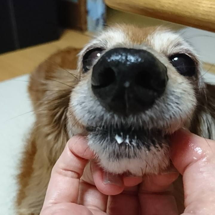 88c21a5a e852 4101 94af 3b6db9142453