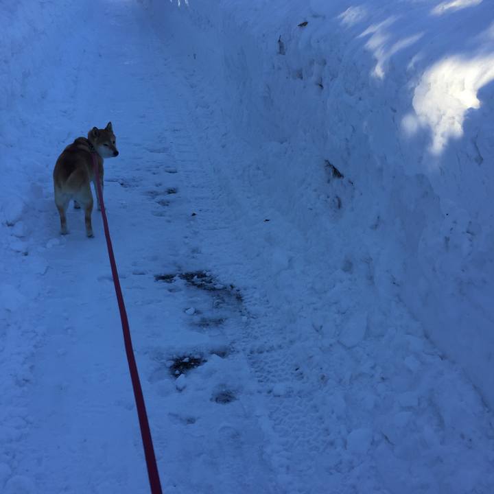 88c2590b 5eb6 483f 82a2 81d3c0ec08d0