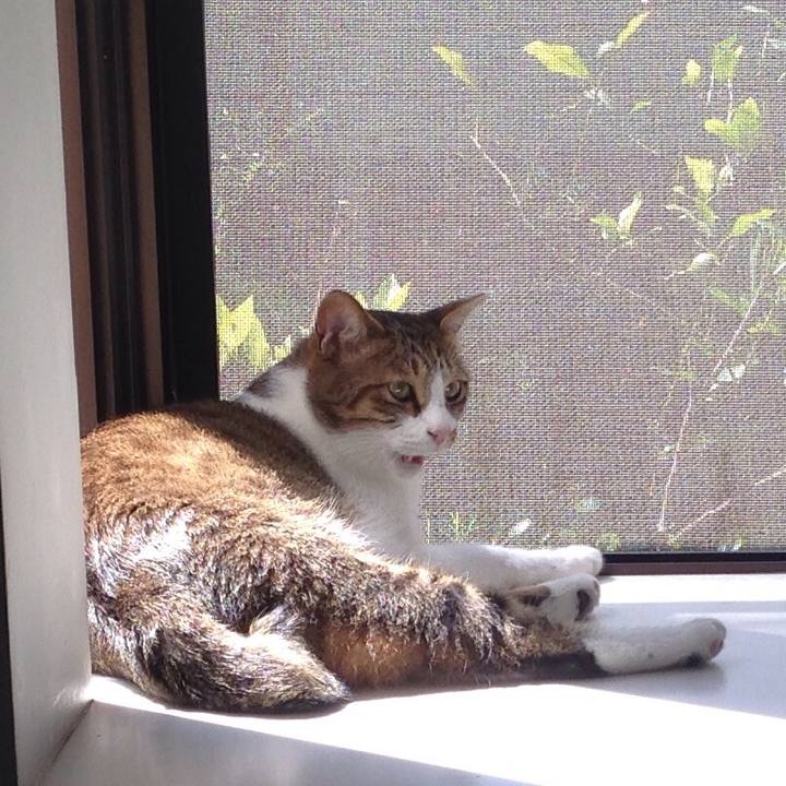 88c2ba2c c60f 4d3a ac85 afc1bfae7952