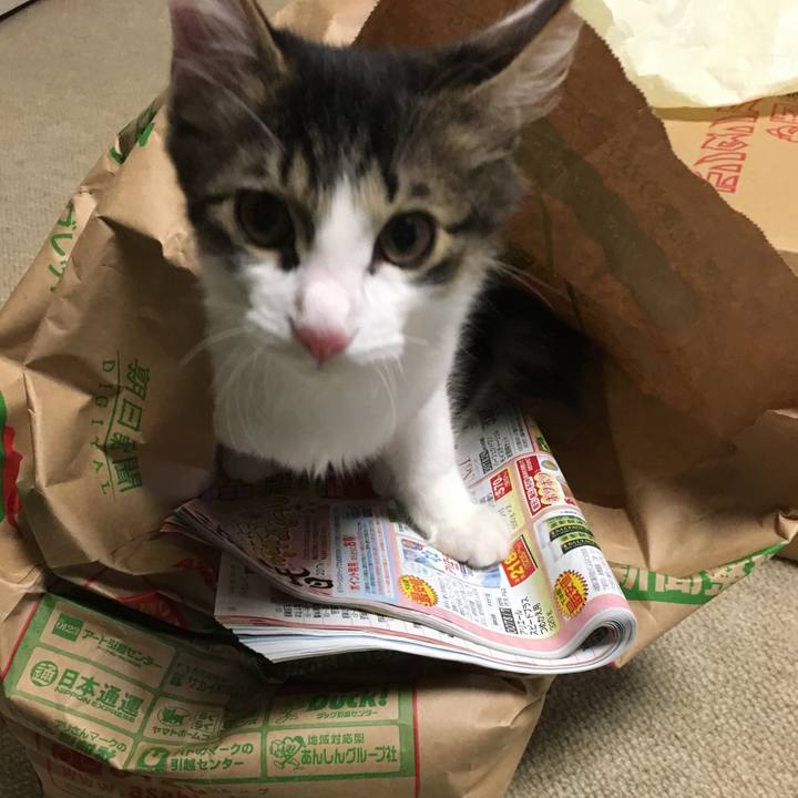 88c30497 507a 4d7e 8c93 0d3529e254c3