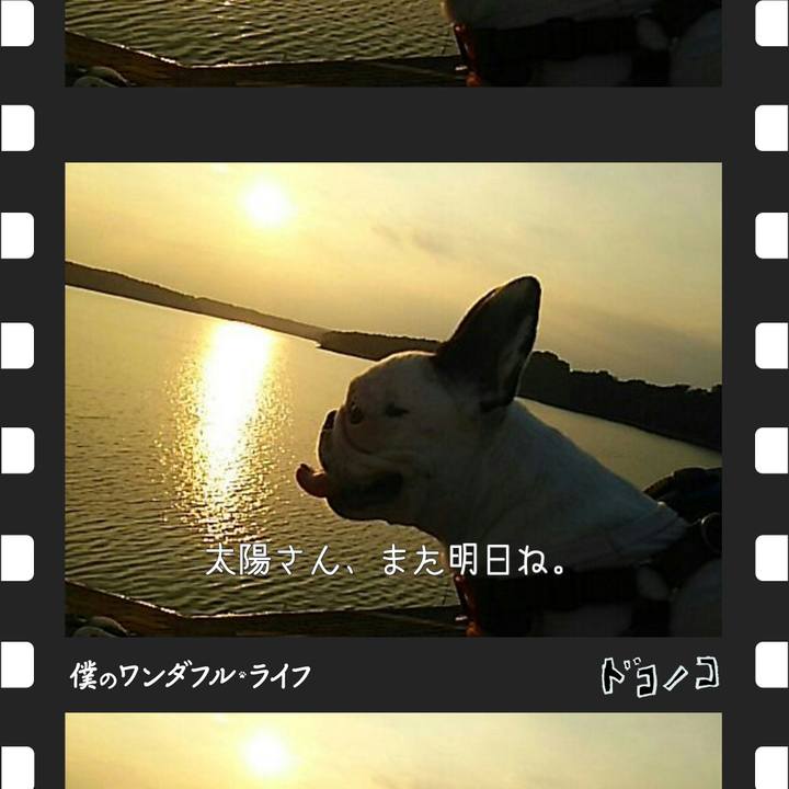 88c34834 ecc5 4706 92d5 355ccb9042f2