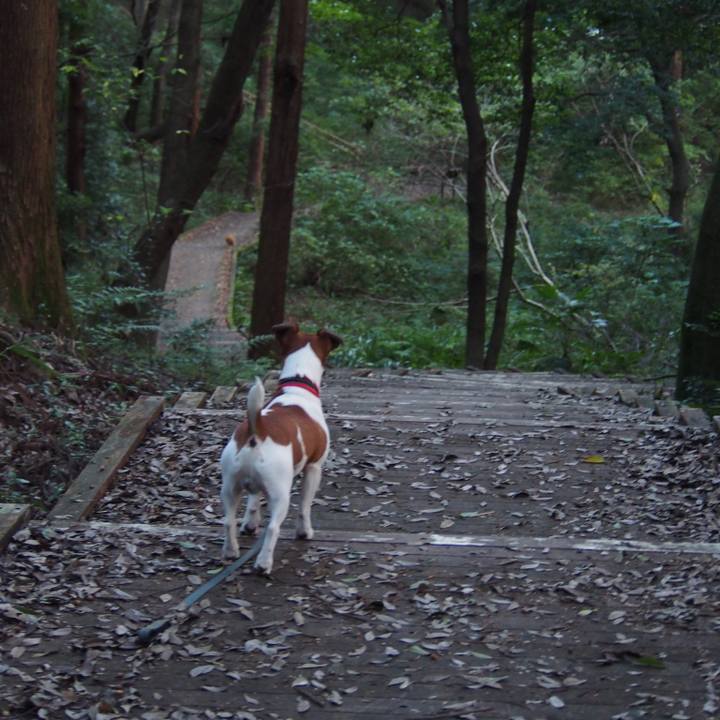 88c35232 e422 4e5e 9b89 eef87e6a5a7d