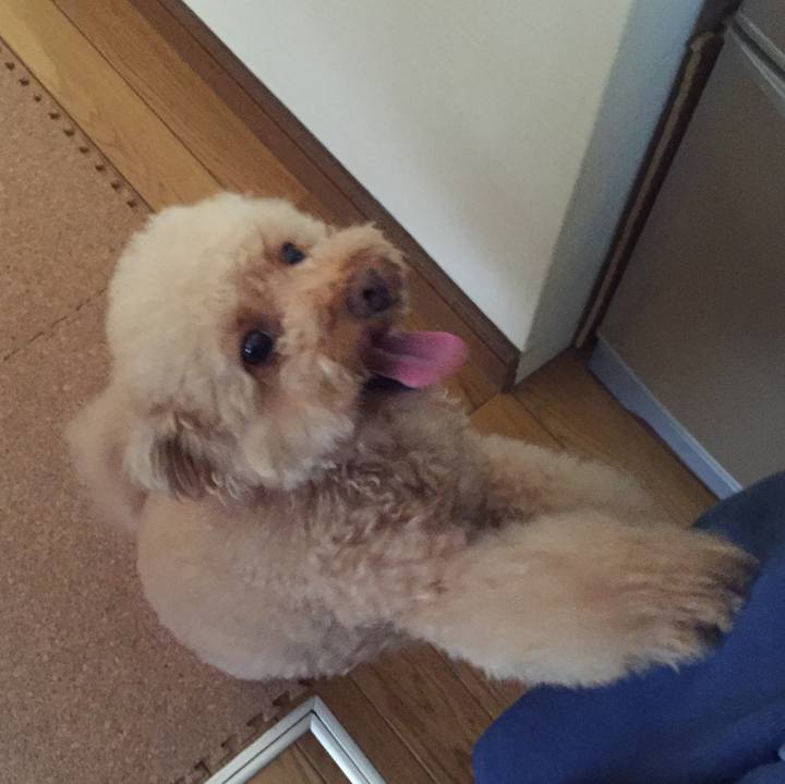 88c37081 bbf6 4877 91cc 0dff020c26de