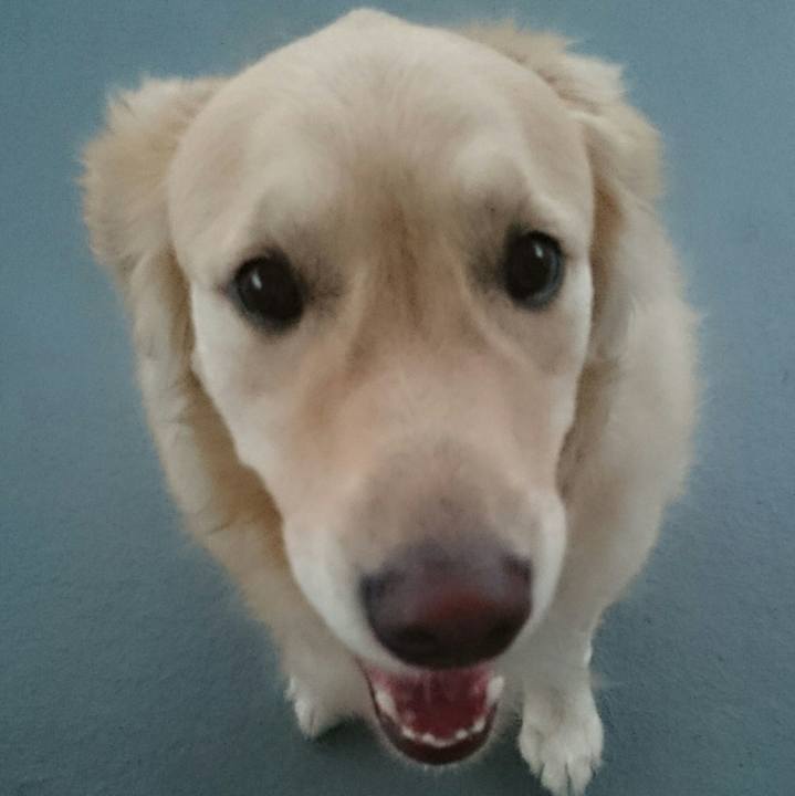 88c418dd bf8f 48a1 8a81 13f8b7da44f6