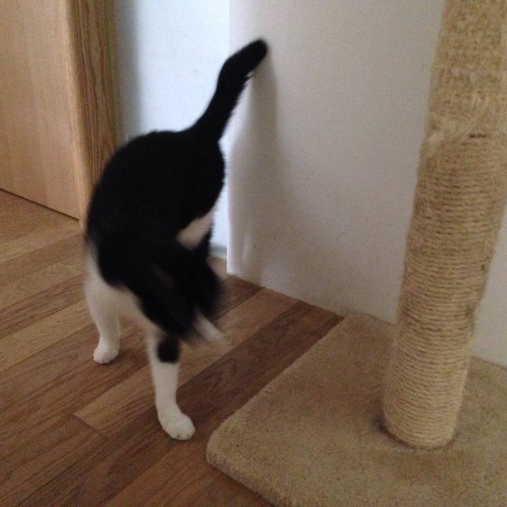 88c429f1 5374 49ed bbd1 4aec89005b62