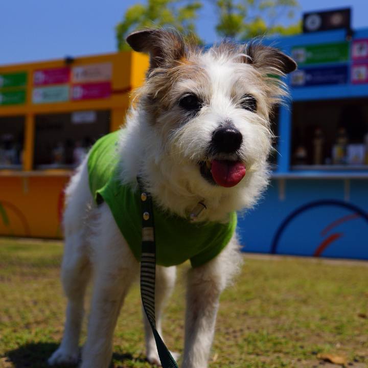 88c49bb5 341a 4b53 a8b2 c0df64891b74